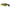 Broasca Live Target Hollow Body Frog Walking Bait, Green / Brown, 5.5cm, 18g