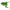 Broasca Zebco Top Frog, Pool Fog, 6.5cm, 16g, 1buc/pac