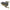 Broasca Zebco Top Frog, Tree Frog, 19g,  6.5cm