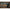 Burghiu Korda Bait Drill, 4mm