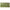 CAGULA SAVAGE GEAR ORIGINAL BUFF VERDE