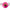 CAP JIG DAIWA PROREX FLEXI JIG-SYSTEM TG HEAD FLUO-PINK 7G 3BUC/PLIC