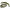 Cap Minciog Pliabil Korum Folding Spoon Landing Net 26"