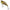 CICADA BERKLEY RATTLIN POWERBLADE PERCH 6,5cm 26g