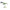 Cicada Carp Zoom Predator Z Blade Shaker 5cm 13.5gr A02