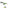 Cicada Carp Zoom Predator Z Blade Shaker 5cm 13.5gr A04