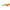 CICADA CARP ZOOM PREDATOR Z O-PLUS PRADO 7.1cm 40gr Red-Yellow