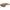 Cicada Jackall Kuro Ball 2.0g Brown