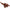 CIORCHINAR ARROW PIELE 12 PRINDERI