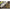 Clips Plumb Pierdut Korda 10 Buc Clay