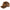 CORMORAN SAPCA DAIWA D-VEC BROWN