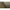 Cort Fox Eos 1 Man Bivvy