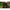 Cort Fox Frontier X 260 X 198.5 X 140cm