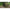 Cort Fox Frontier Xd 270 X 210 X 165cm