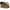 Cort Fox R-series 1-man Bivvy Xl Khaki 235x295x165cm