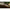 Cort Fox R-series 1-man Bivvy Xl Khaki 235x295x165cm