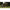 CORT FOX ROYALE 60 BROLLY