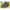 CORT FOX ROYALE CLASSIC 2 MAN CAMO