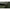 Cort Prologic Avenger Bivvy/condenser Warp 1pers