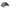CORT PROLOGIC ENS BIVVY 1 PERS