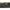 CORT SOLAR CAMO BROLLY SYSTEM