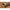 Cosulet Lestat Feeder Guru X-change Slimline Medium 2buc/plic