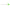 Croseta Carp Spirit Stick And String Needle
