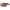 CUREA BLASER ARMA PIELE MARO