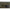 Cutie Korda Compac 125 Camo