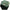 CUTIE PENTRU MOMELI PRESTON BAIT TUB 0.6 L