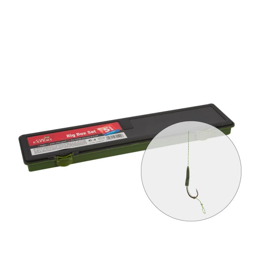 Cutie Riguri Carp Expert Rapid Suport Monturi Cu Accesorii