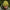 Caciula Avid Marl Knit Beanie - Yellow, Marime Uiversala