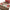 Caciula Trakker Team Bobble Beanie Fishing Hat
