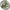 Cap Minciog Korum Power Folding Spoon Latex, 66cm