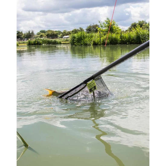 Cap Minciog Matrix Carp Scoop Net, Large, 55x45cm