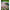 Cap Minciog Matrix Snag Free Net, Small, 45x35cm