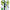 Cap Suport Lanseta Zebco Trophy Double V Rod Holder, 1buc/pac