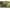 Capsula Cort Fox Retreat Plus 1 Man