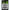 Carlige BKK New Carp Curved Shank SS Nr.6