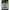 Carlige Bkk New Carp Curved Shank Ss Nr.8