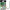 Carlige DECOY BT-53 Tachi Live Bait, Black Nickel, Nr.2/0, 8buc/pac