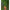 Carlige Fox Edges Armapoint Super Wide Gape Long Shank Nr.7 10buc/plic