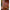 Carlige Fox Edges Armapoint Super Wide Gape Out Turned Eye Nr.4 10buc/plic
