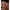 Carlige Fox Edges Armapoint Super Wide Gape Out Turned Eye Nr.6 10buc/plic