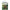 Carlige Hayabusa Teflonate Nrb P-1, Nr.6, 10buc/plic