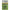 Carlige Korum Supersteel Penetrator Hooks Barbless, Nr.8, 10buc/pac