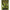 Carlige Konger Carplabs Curve Shank Barbless Titanium Grey Ringed Nr.4, 6buc/plic