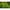 Carlige Korum Xpert Maggot Barbless Hooks Nr.14, 10buc/pac