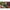 Carlige Legate Korda Loop Rigs Klor, Nr.4, 30lbs, 3buc/pac
