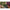 Carlige Legate Korda Loop Rigs Klor, Nr.6, 30lbs, 3buc/pac